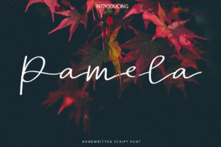 Elevate Your Brand with Pamela Script