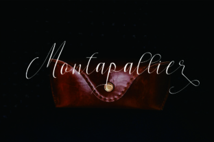 Exploring the Elegance of Montapallier Script