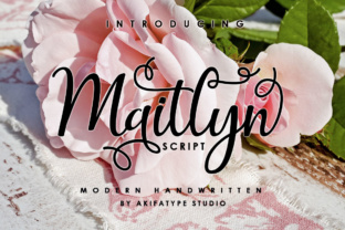 Maitlyn Script: Blending Vintage Charm with Modern Clarity