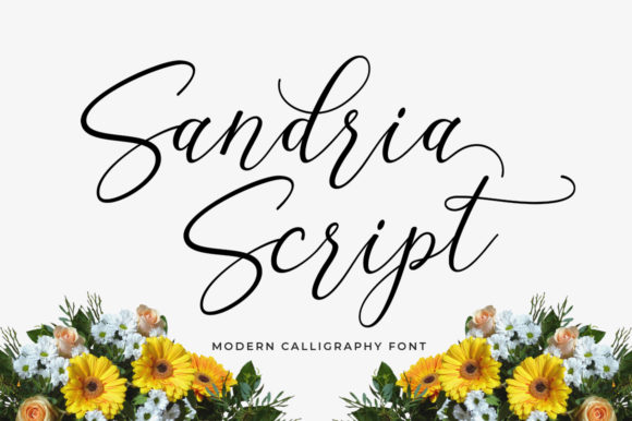 Sandria Script: The Trendy and Feminine Typeface