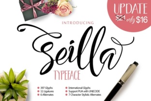 Why Seilla Script Brings Modern Elegance to Your Projects